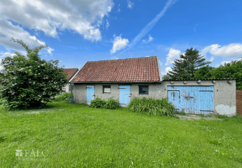 428025-Vorschaubild4