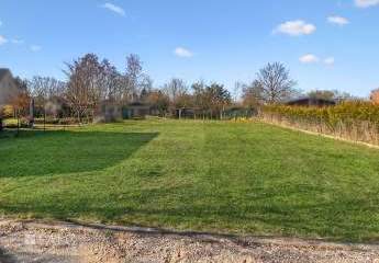 486463-Vorschaubild2