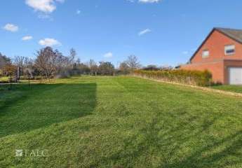 486463-Vorschaubild3