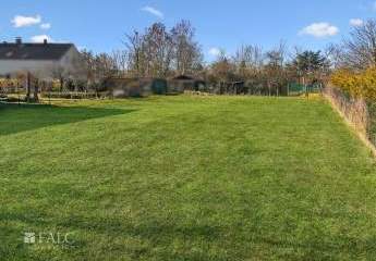 486463-Vorschaubild4