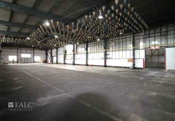 453388-Vorschaubild3