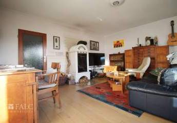 458685-Vorschaubild3