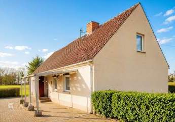 407412-Vorschaubild2