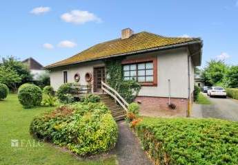 434732-Vorschaubild4