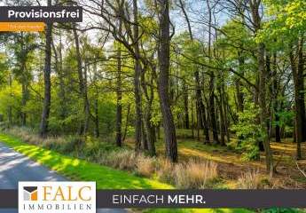 +++ Waldgrundstück 3 ha mit gutem Baumbestand in Ostseenähe +++