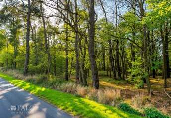 464985-Vorschaubild2