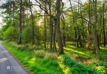 464985-Vorschaubild3