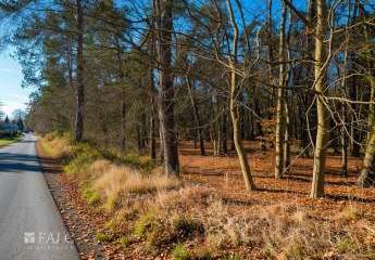 464985-Vorschaubild4