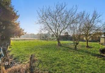 468568-Vorschaubild3