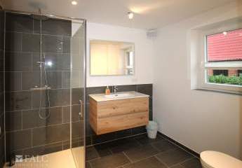 470994-Vorschaubild2