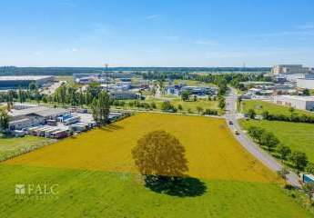 474412-Vorschaubild2