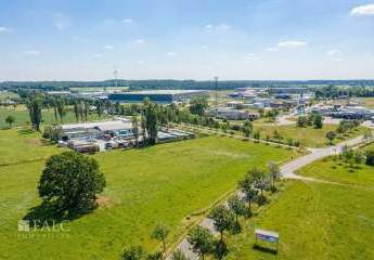 474412-Vorschaubild3