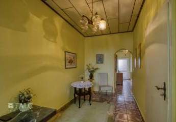 450254-Vorschaubild4