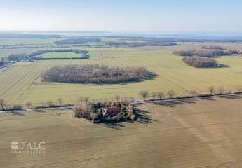 476808-Vorschaubild2