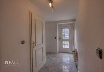 484305-Vorschaubild2