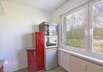 418667-Vorschaubild4