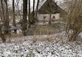 405636-Vorschaubild2