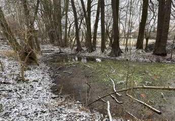 Großes Grundstück mit Bauernhaus, Teich und Baugrund - Perfekte Möglichkeit für Neubau!