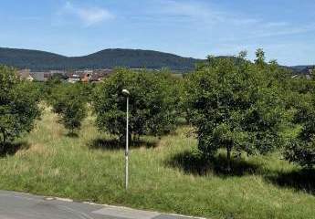 409224-Vorschaubild2