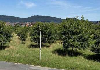 421920-Vorschaubild2