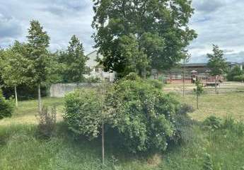 422644-Vorschaubild3