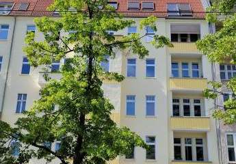 422923-Vorschaubild4