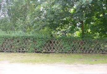 422981-Vorschaubild2