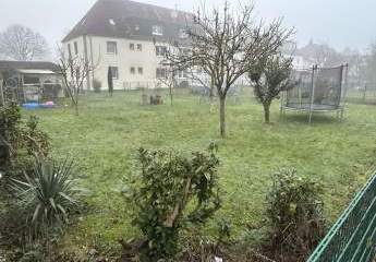 414925-Vorschaubild3