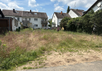 428430-Vorschaubild2