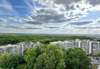 429129-Vorschaubild3