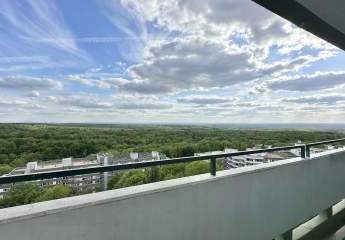 429129-Vorschaubild4