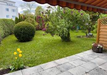 429784-Vorschaubild3