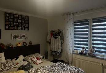 430684-Vorschaubild3