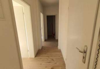 398883-Vorschaubild3