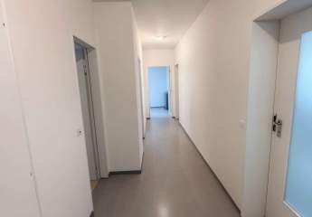 431924-Vorschaubild2