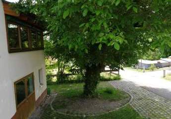 433071-Vorschaubild3