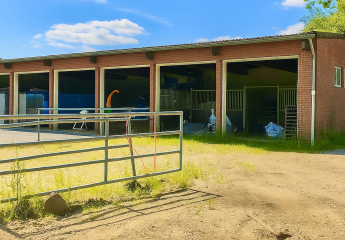 IST-Rendite 8%: Reitplatz, Pferdeboxen, Gästezimmer, 340m² Wfl., gehobene Ausstattung, 5800m² Grd