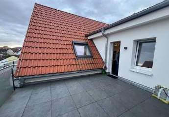 442403-Vorschaubild3