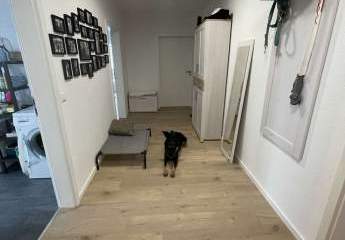 442683-Vorschaubild2
