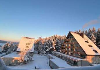 Whg. / Ferien-Whg. _ im Schwarzwald