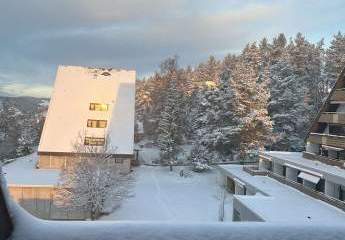 443142-Vorschaubild2