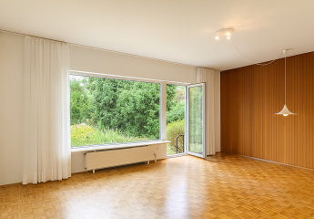 443546-Vorschaubild2