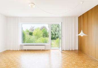 443546-Vorschaubild4