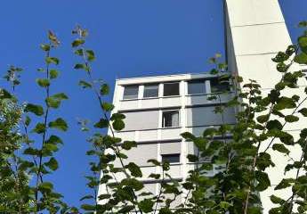 444024-Vorschaubild3