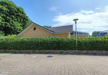 447465-Vorschaubild4