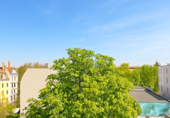 447631-Vorschaubild4
