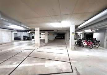 448325-Vorschaubild2