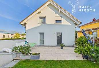 449231-Vorschaubild4