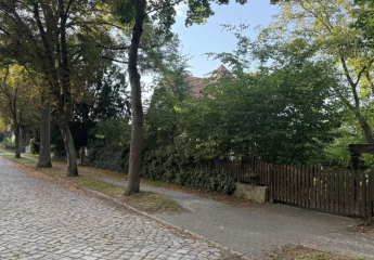 450024-Vorschaubild2