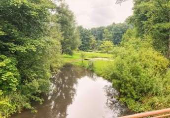 443087-Vorschaubild3